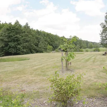 Buschschaenke - Apartment *